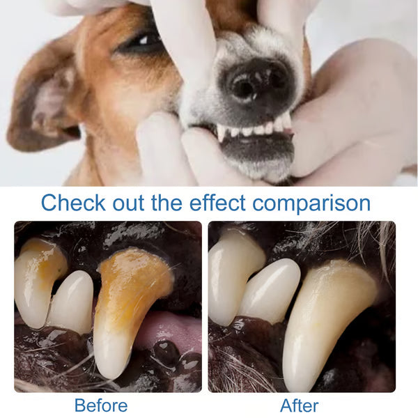 🐶Pet Tartar Remover Foam – Fresh Breath & Healthy Teeth, No Brushing Needed!🦷