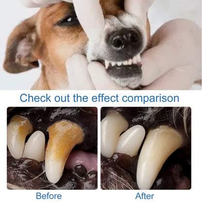 🐶Pet Tartar Remover Foam – Fresh Breath & Healthy Teeth, No Brushing Needed!🦷