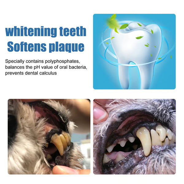 🐶Pet Tartar Remover Foam – Fresh Breath & Healthy Teeth, No Brushing Needed!🦷