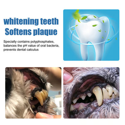 🐶Pet Tartar Remover Foam – Fresh Breath & Healthy Teeth, No Brushing Needed!🦷
