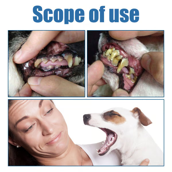 🐶Pet Tartar Remover Foam – Fresh Breath & Healthy Teeth, No Brushing Needed!🦷