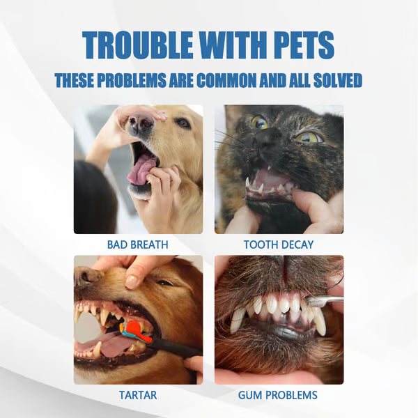 🐶Pet Tartar Remover Foam – Fresh Breath & Healthy Teeth, No Brushing Needed!🦷