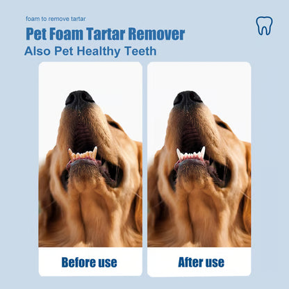🐶Pet Tartar Remover Foam – Fresh Breath & Healthy Teeth, No Brushing Needed!🦷