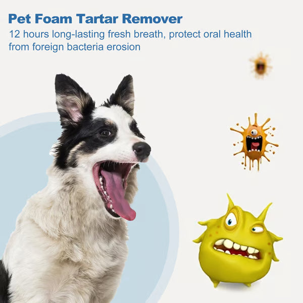 🐶Pet Tartar Remover Foam – Fresh Breath & Healthy Teeth, No Brushing Needed!🦷