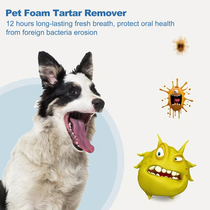 🐶Pet Tartar Remover Foam – Fresh Breath & Healthy Teeth, No Brushing Needed!🦷