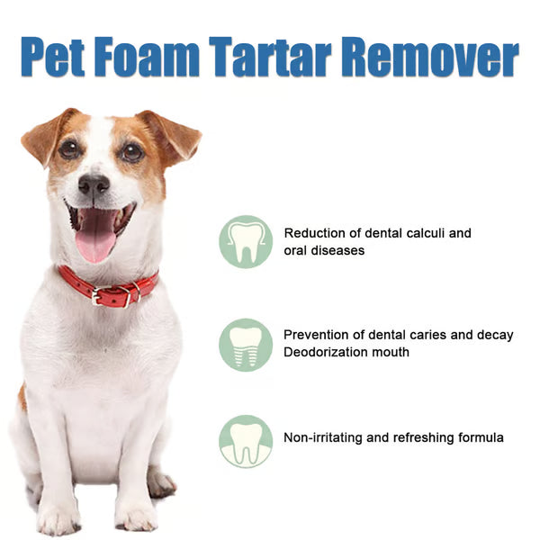 🐶Pet Tartar Remover Foam – Fresh Breath & Healthy Teeth, No Brushing Needed!🦷